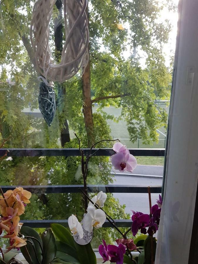 Studio Apartman Zagreb Zapad Vrapce Exteriör bild